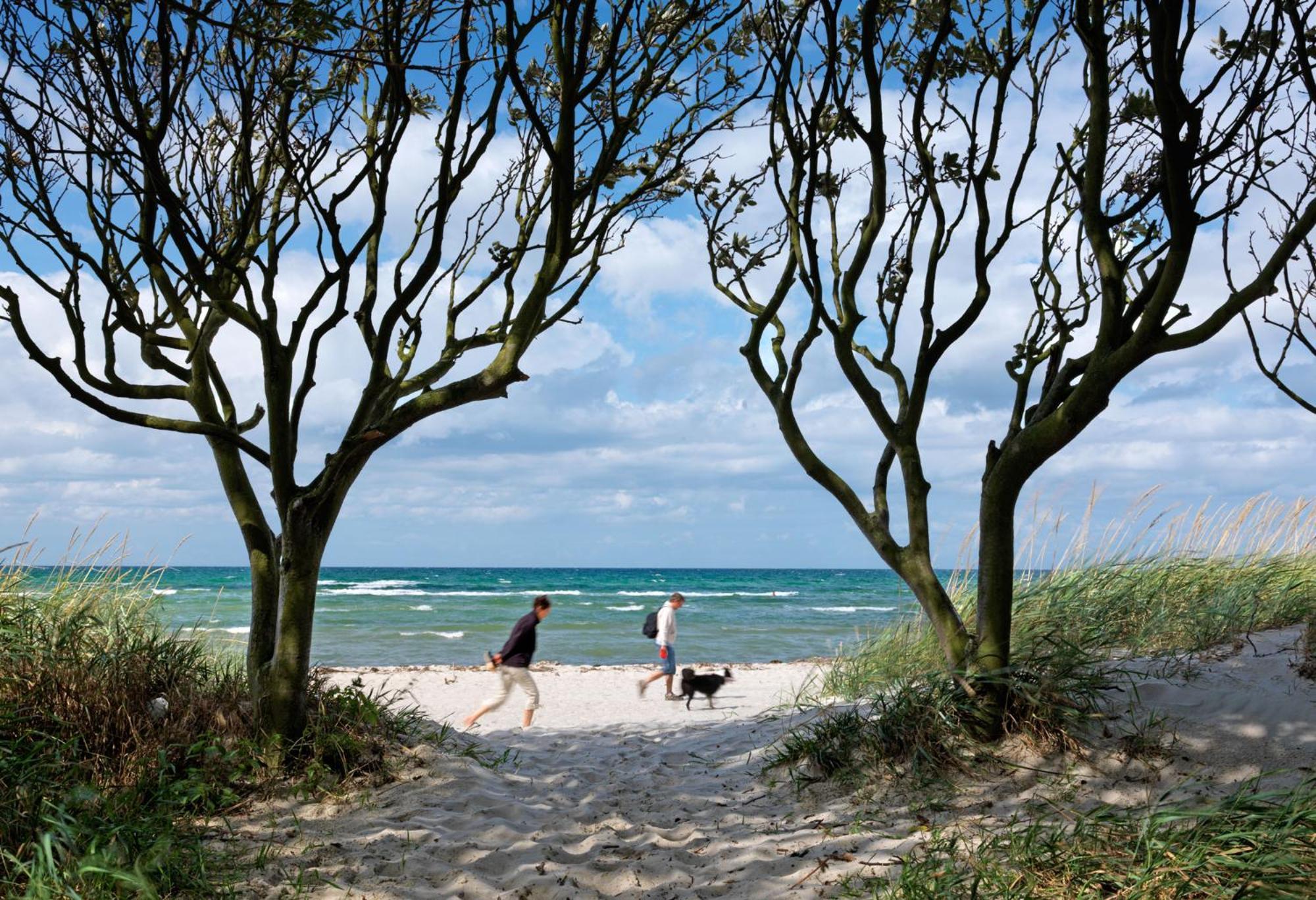 Luett Kajuet - Fip Park Apartment Insel Poel Luaran gambar