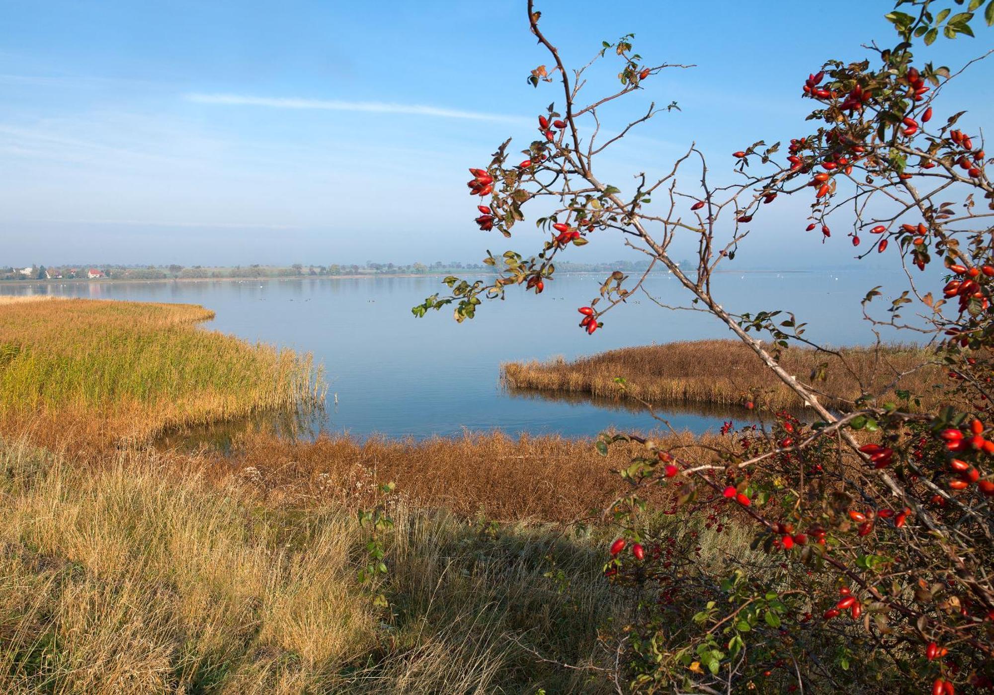 Luett Kajuet - Fip Park Apartment Insel Poel Luaran gambar